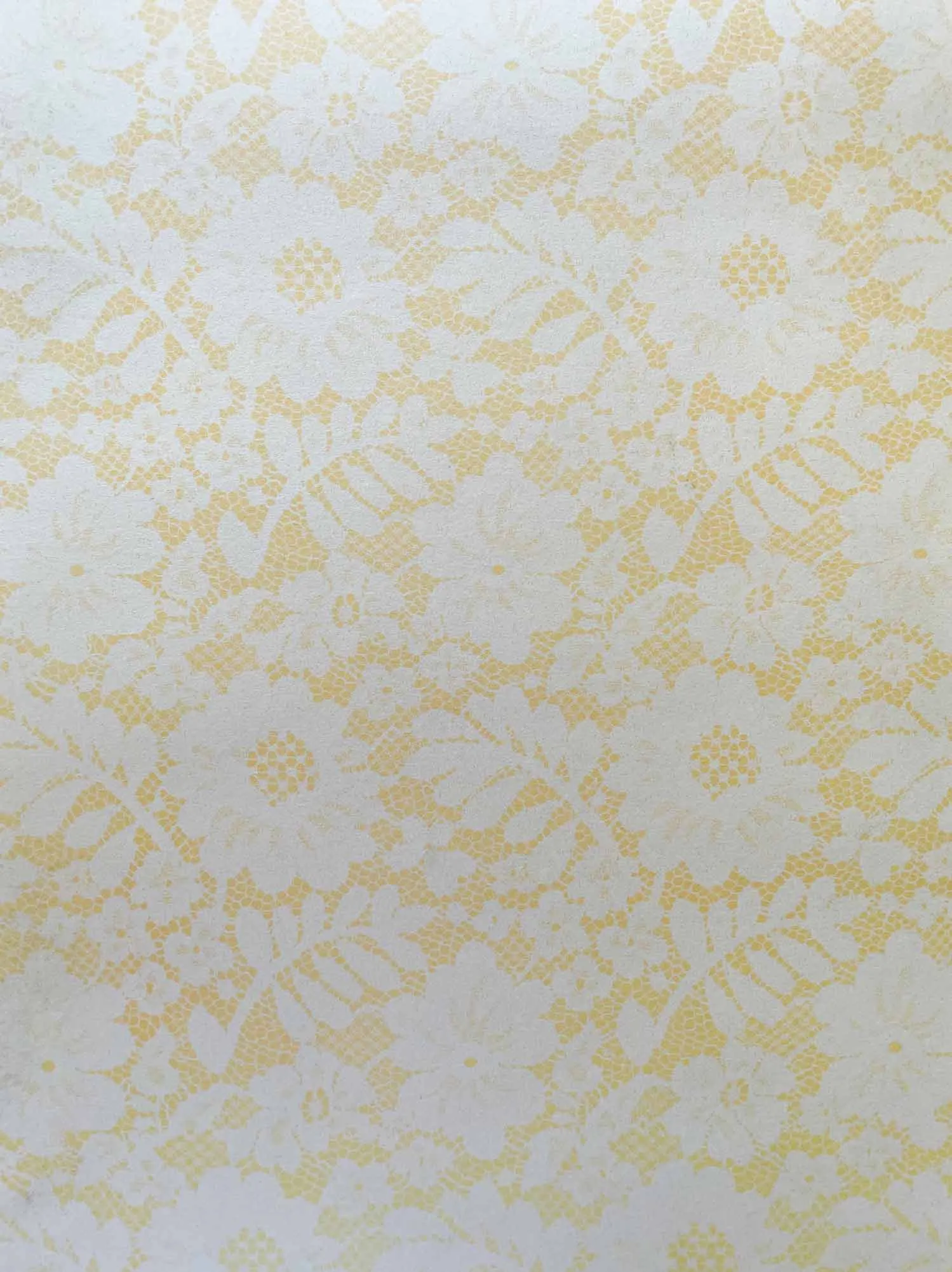 Chantilly Lace Paper in Soft Peach