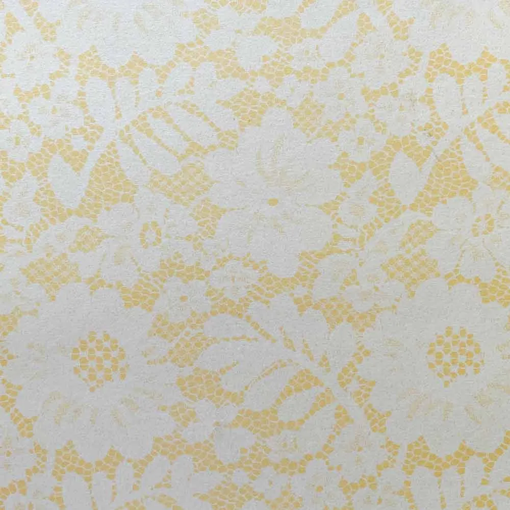 Chantilly Lace Paper in Soft Peach