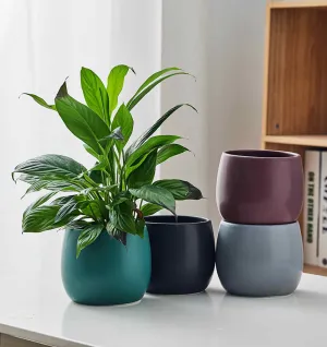 Elegant Spectrum Multi-Color Ceramic Tabletop Planters for Home and Office Decor