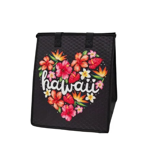 Large-Insulated Hot/Cold Bag