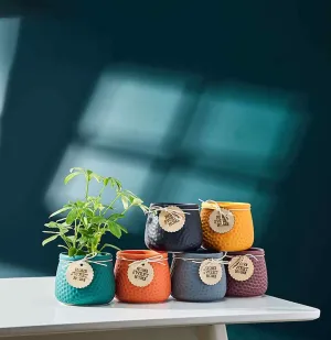 Polished Ceramic Succulent Flower Pots - Colorful Textured Ceramic Plant Pots