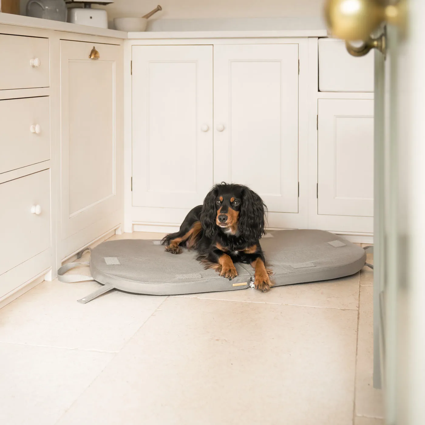 The Ultimate Capsule Travel Dog Bed by Lords & Labradors